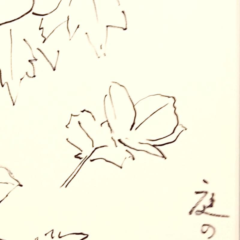 ☆坂本直行☆「 しらねあおい（庭の桜満開の日に）」ペン画！