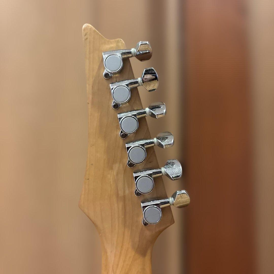 【たく】Ibanez RG Series アーム付 新品弦張替済