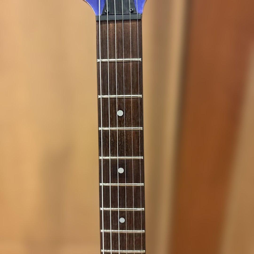 【たく】Ibanez RG Series アーム付 新品弦張替済