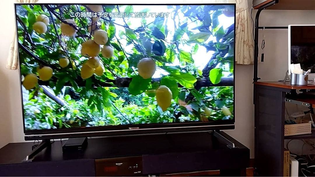 マナブ様専用 SHARP LC-60XL20 液晶テレビ 60インチ