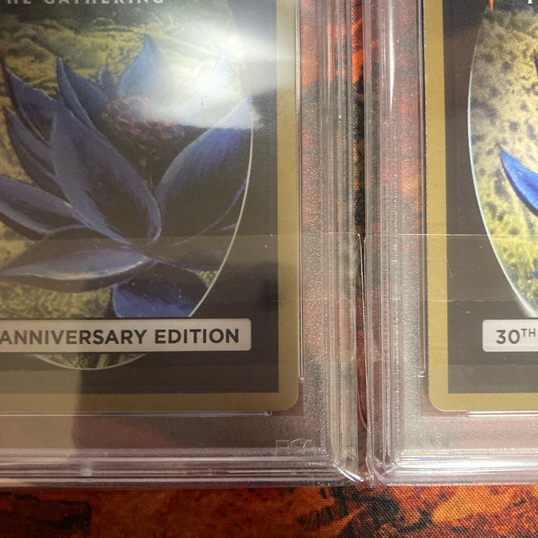 PSA10 新枠 旧枠 2枚セット Lord of the Pit 30th