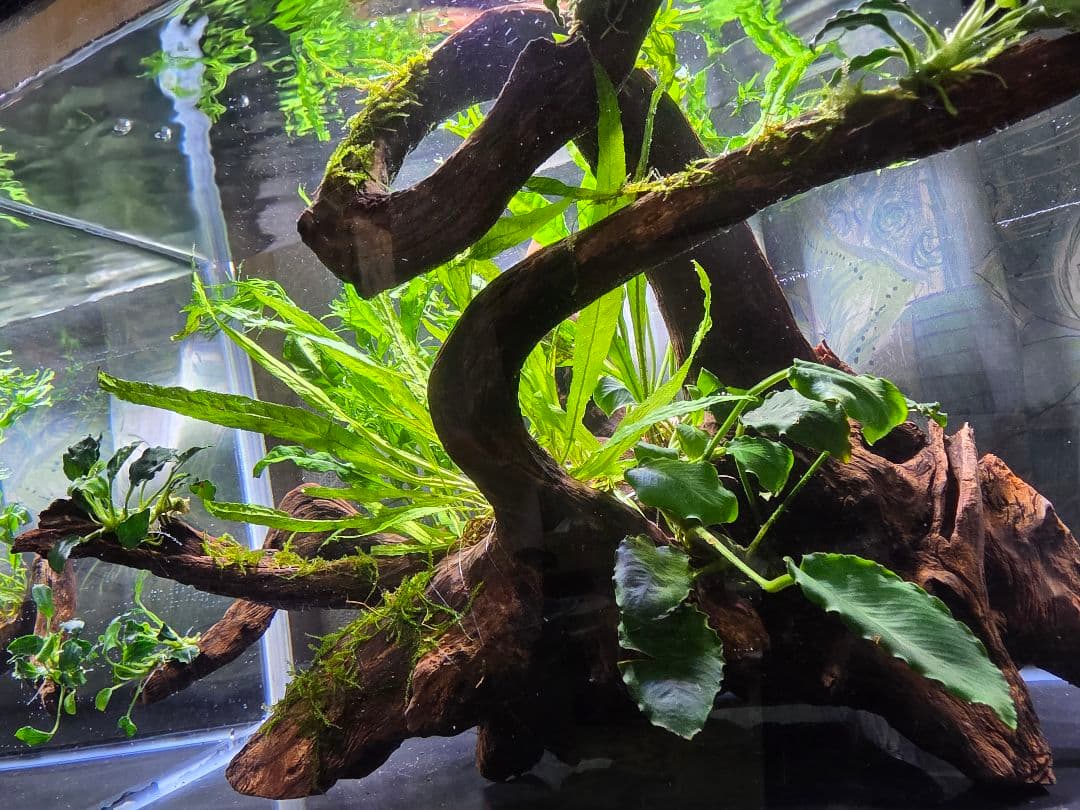 つっちー様 商談中になります。