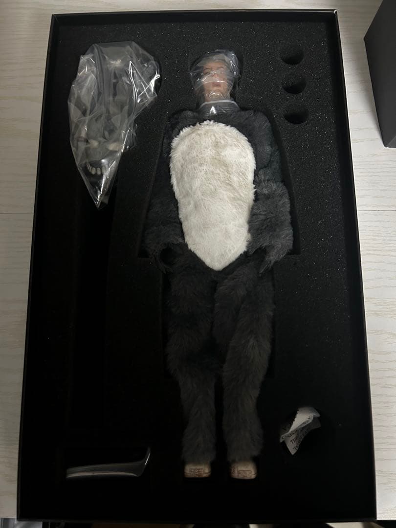 BIGDOG Studio 1/6 フィギュア ドニーダーコ フランク