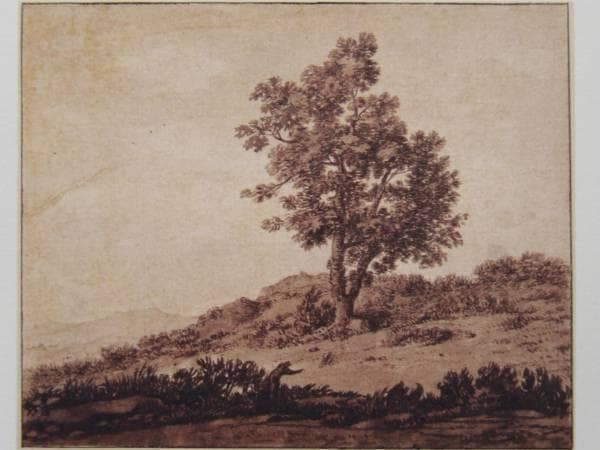 アレグザンダー・カズンズ、樹木の習作 （完成素描）、希少画集画