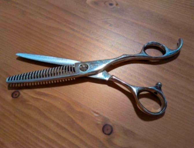 うさぎずも 新品】 シーズプロダクツ 2023年 干支 うさぎ 開運招き 卯(黄)良い年で