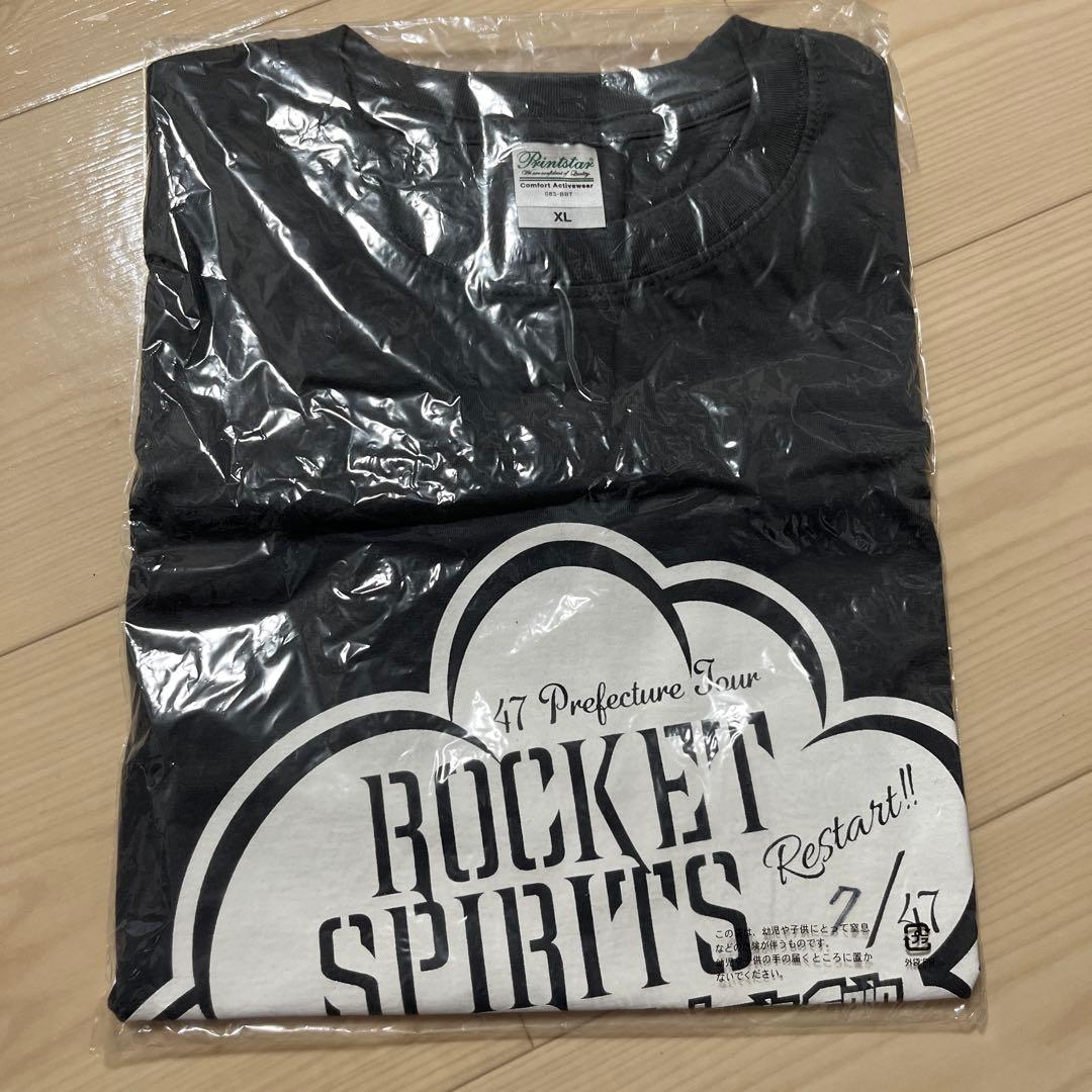 ZARD 坂井泉水 Tシャツ Lサイズ 黒 25周年 美品 ZARD Hold me Tシャツ