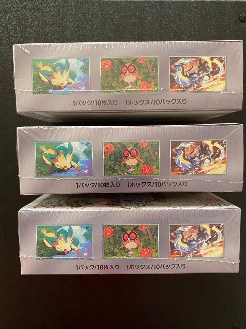 テラスタルフェス ロケット団 楽園ドラゴーナ バトルパートナーズ シュリンク付