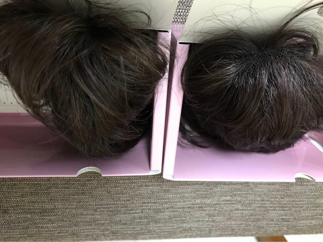 フェザー レオンカウィッグ EX-15 F2モダアクリル人毛