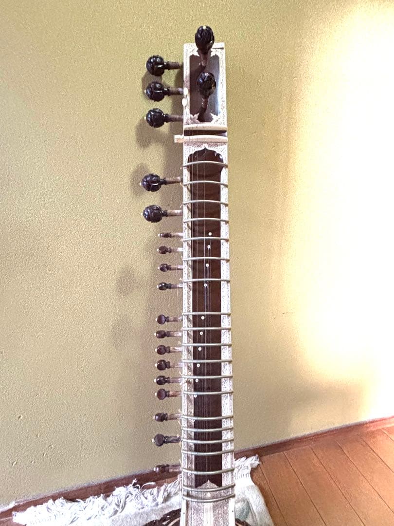 シタール ハードケース付き