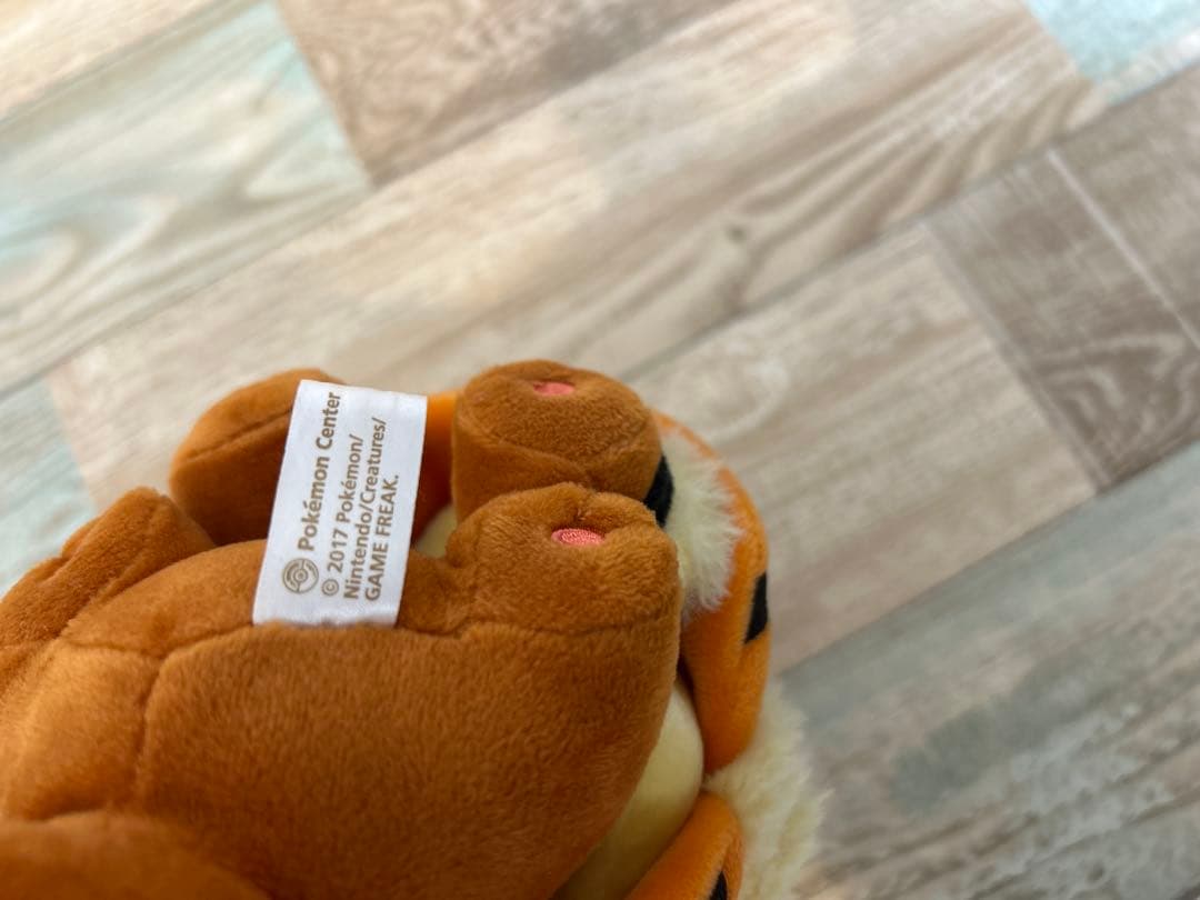 沖縄限定　ウィンディポンチョのイーブイ（スマイル）　ぬいぐるみ　ポケモンセンター