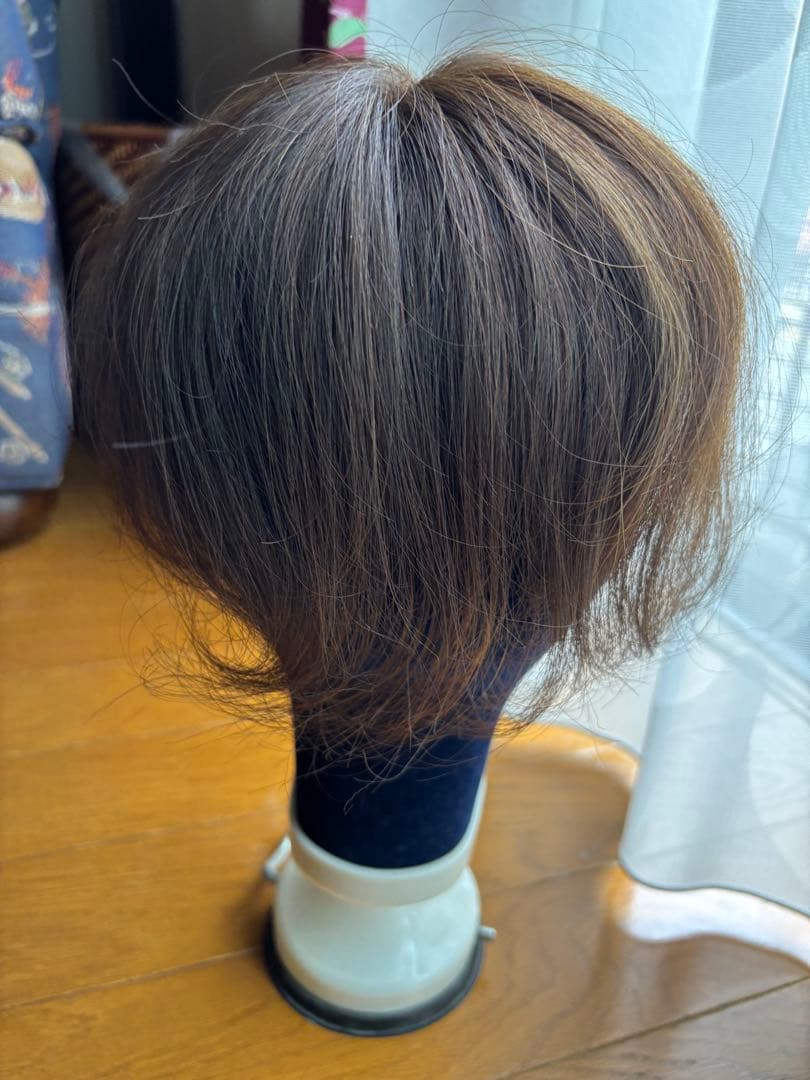 レディースアートネイチャー　オーダーウィッグ