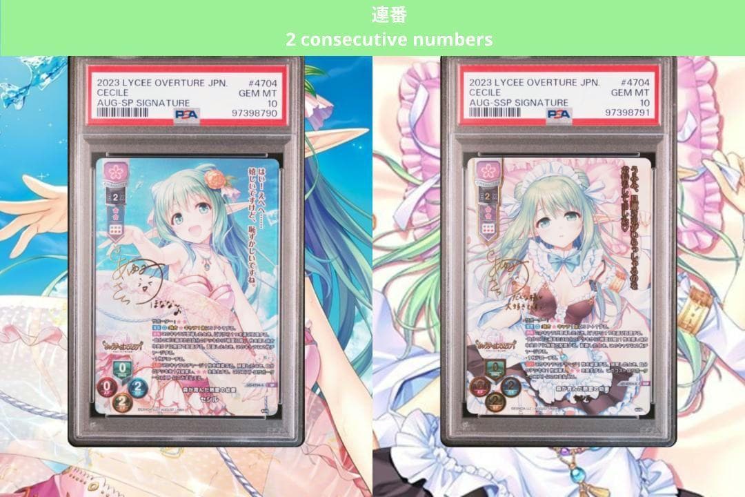 Lycee リセ 森が育んだ熱愛の幼妻 セシル SP SSP PSA10　連番 Lycee リセ 森が育んだ熱愛の幼妻 セシル SP SSP PSA10 連番 【公式通販】