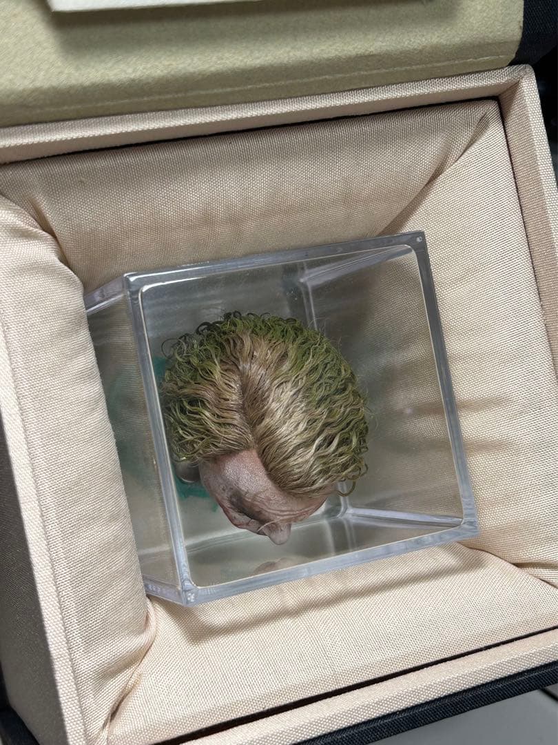 1/6 カスタム植毛ヘッド ダークナイト ジョーカー 審問2.0Ver. 1/6