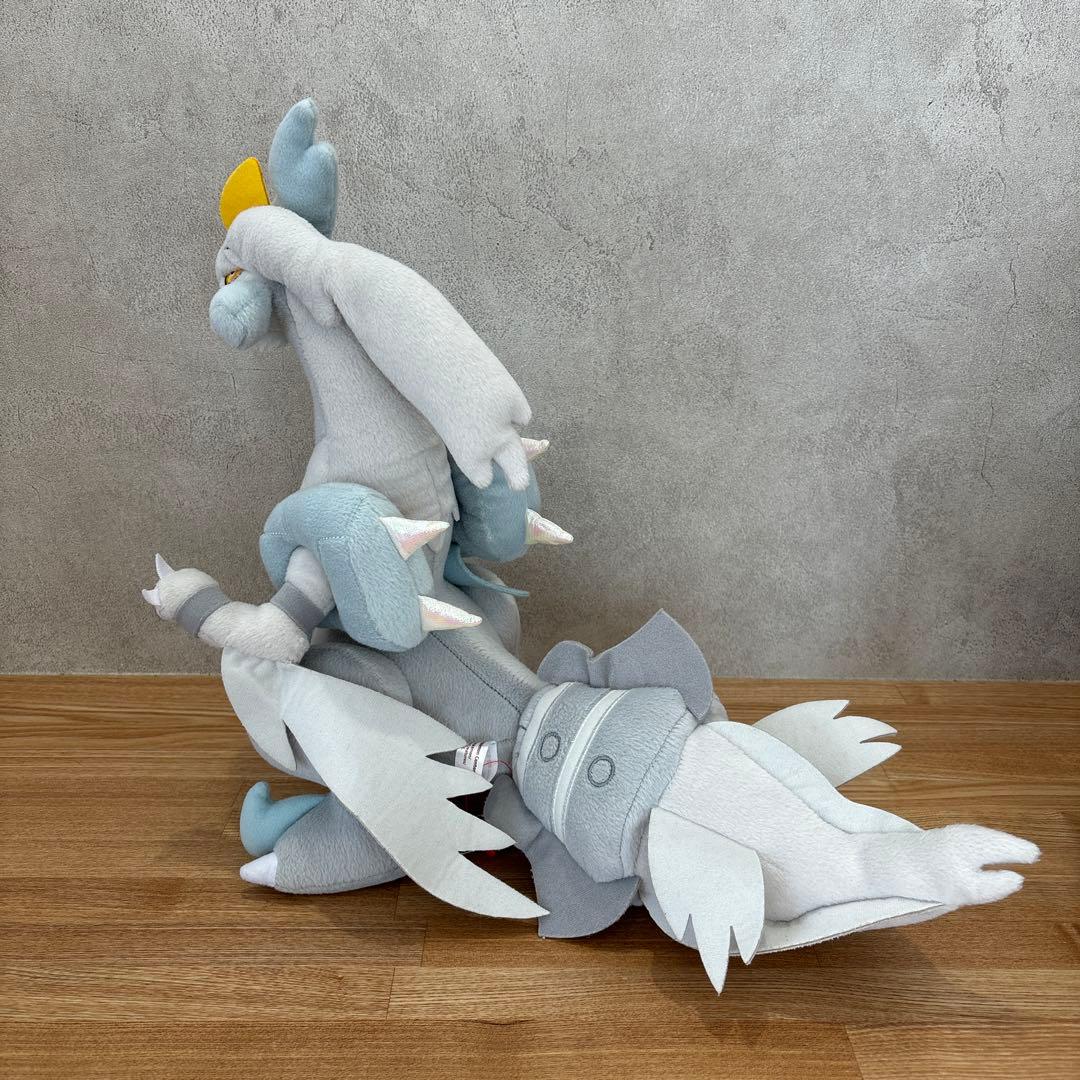 一点もの/廃盤/2012年】ホワイトキュレム ブラックキュレム ポケドール