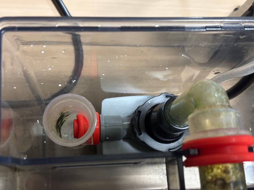 お買い得 ゼンスイ QQ1 プロテインスキマー 海水魚 サンゴ