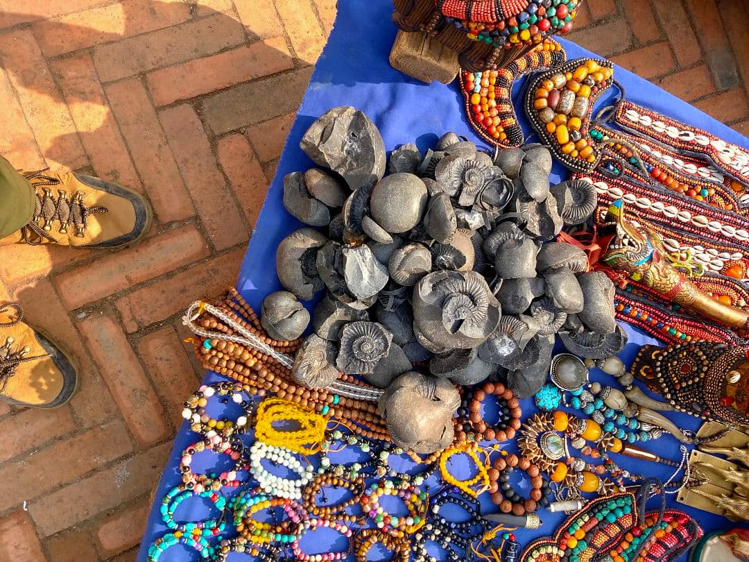 671 黒いアンモナイト化石 上下セットネパール ヒマラヤ標高3800m