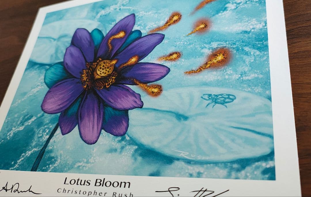 アートプリント　睡蓮の花　Lotus Bloom MTG　複製原画