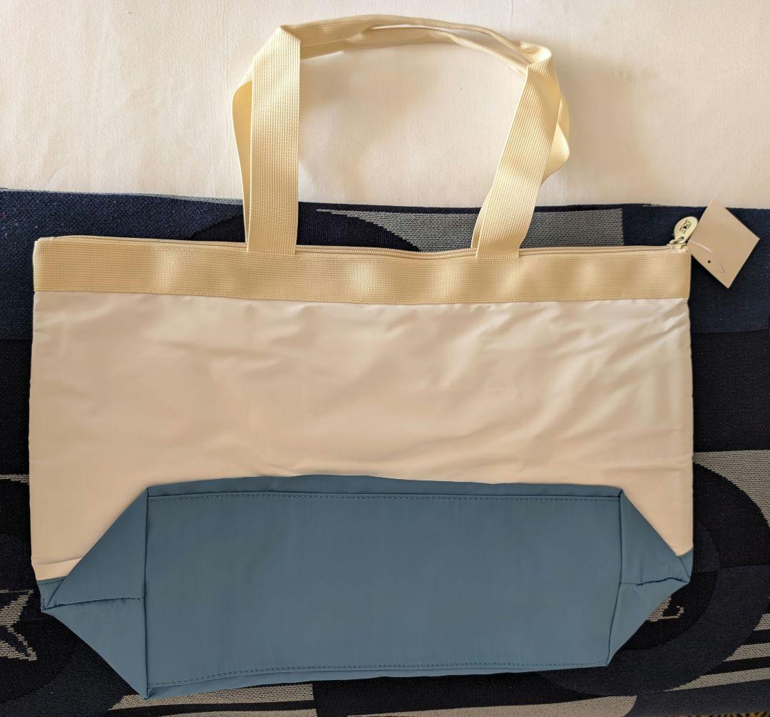 ディズニークルーズプラチナ限定　キャスタウェイクラブギフト　ビーチタオルセット