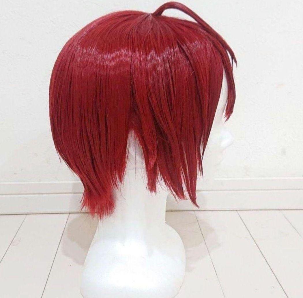 リドル&デュース　ウィッグ