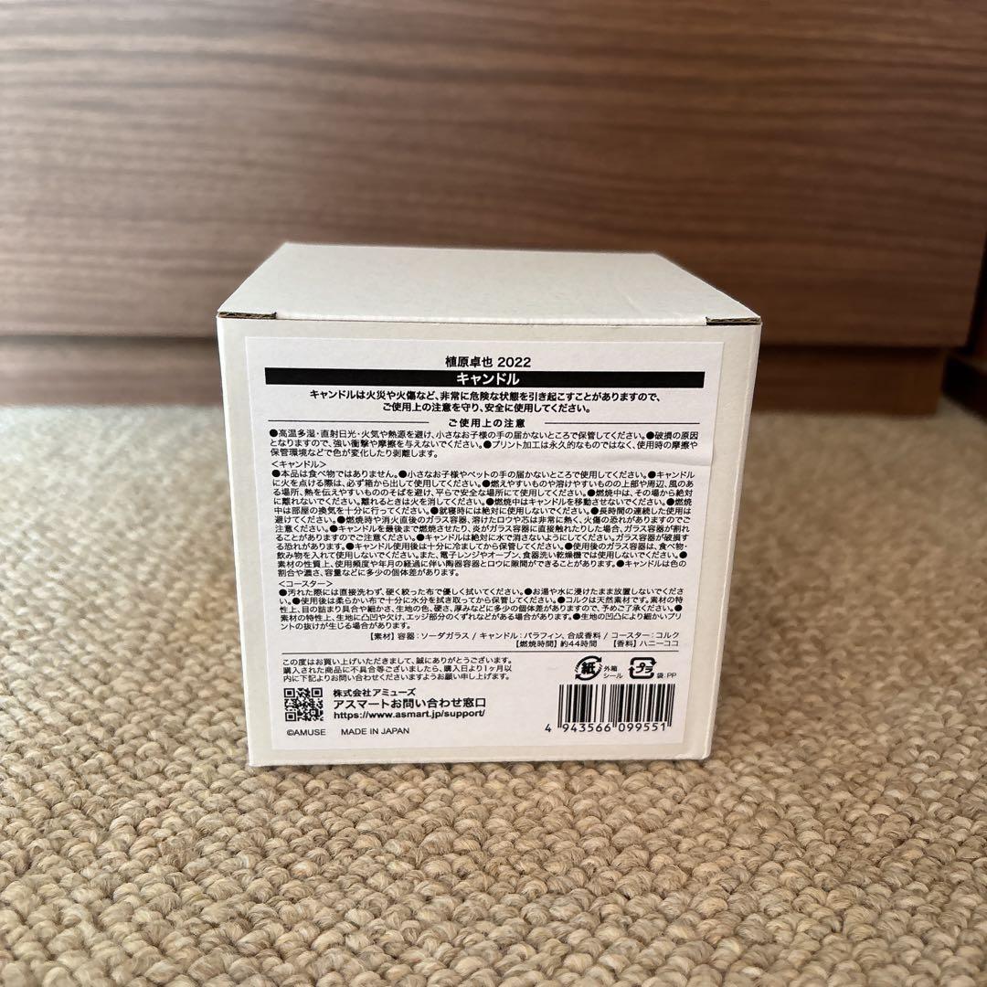 植原卓也 キャンドル マグカップ セット