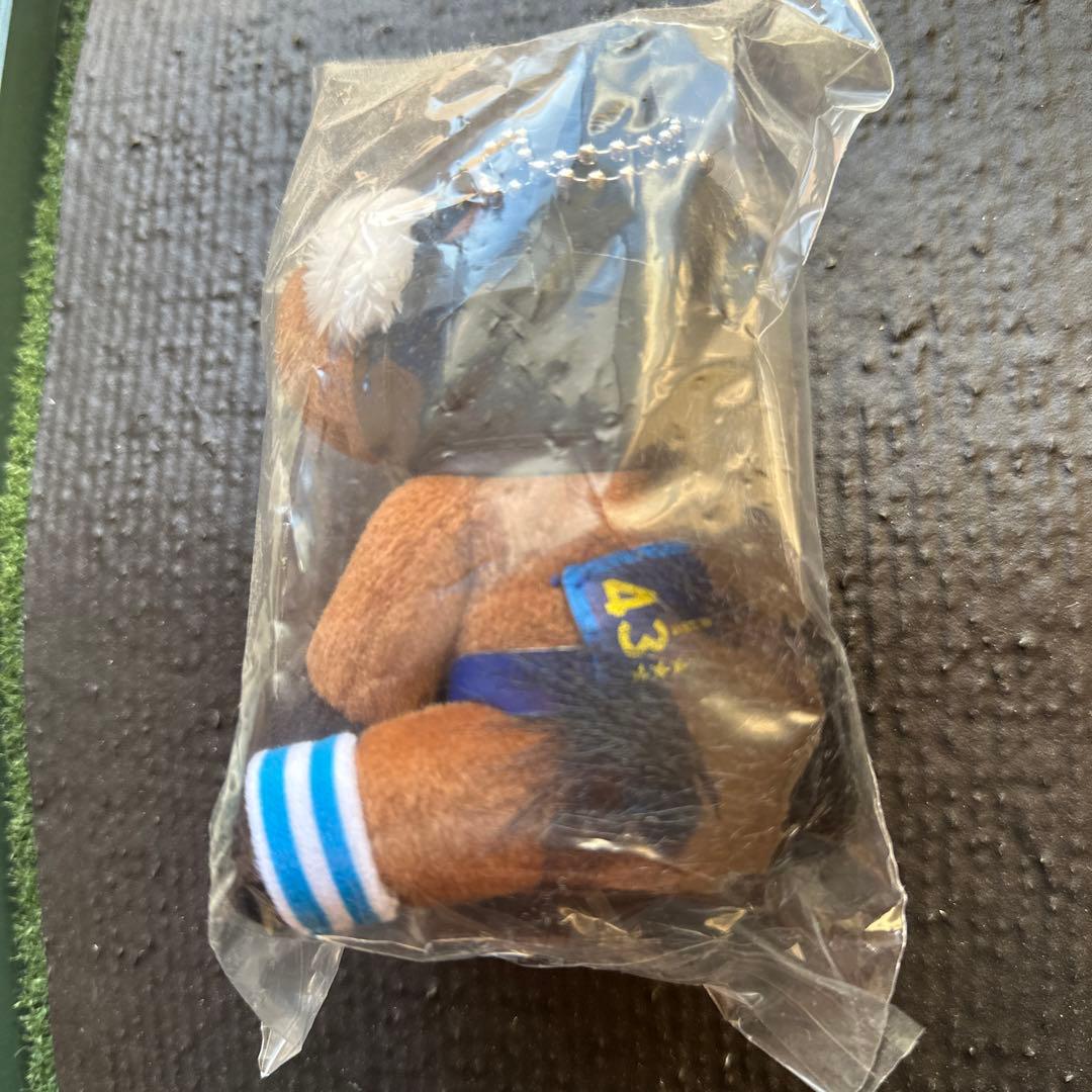 アイドルホース アーモンドアイ 美浦トレセン 非売品