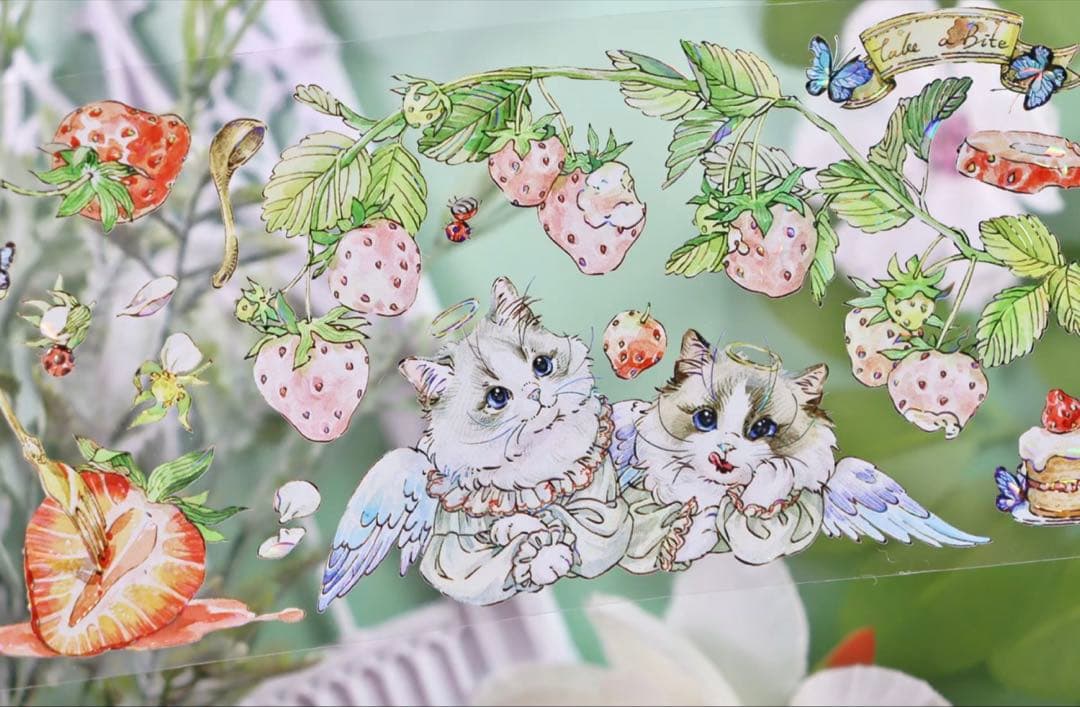 4063 贝壳光 6.5cm×10m 布偶庄园 海外マスキングテープ