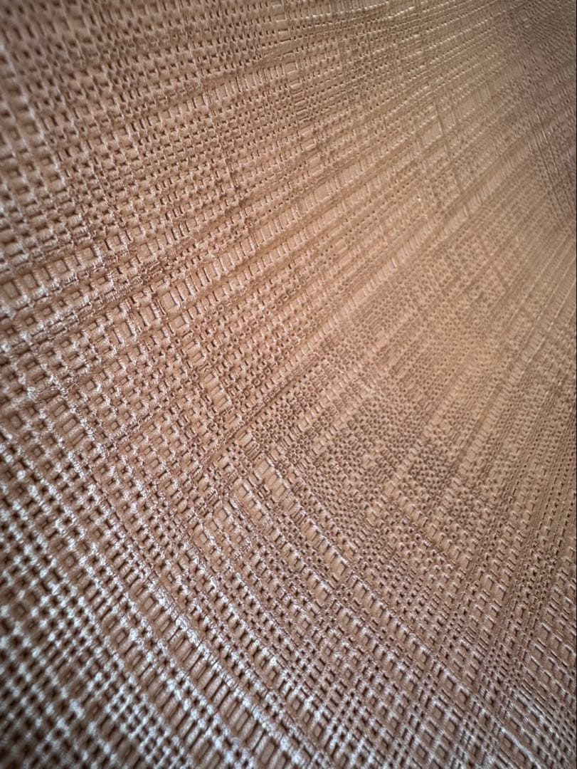 ロエベ　ビジネスバッグ　ブラウン