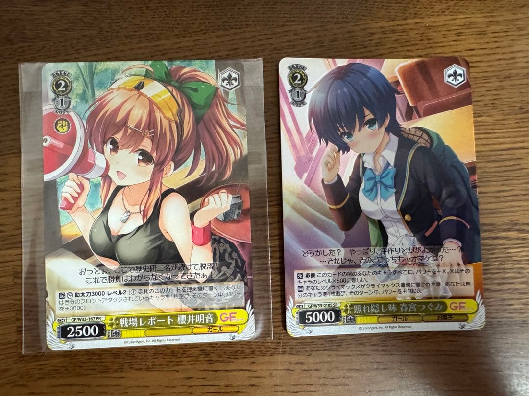 師*匠様 【まとめ売り】GF(仮)デッキ2種、パーツ、SSP、スリーブ等