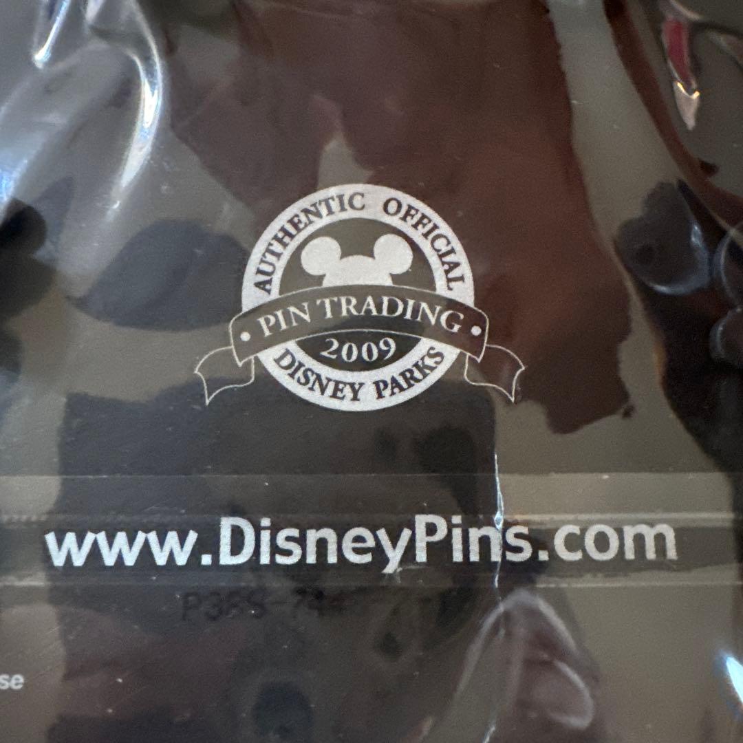 ディズニー 海賊キャラクターピンセット