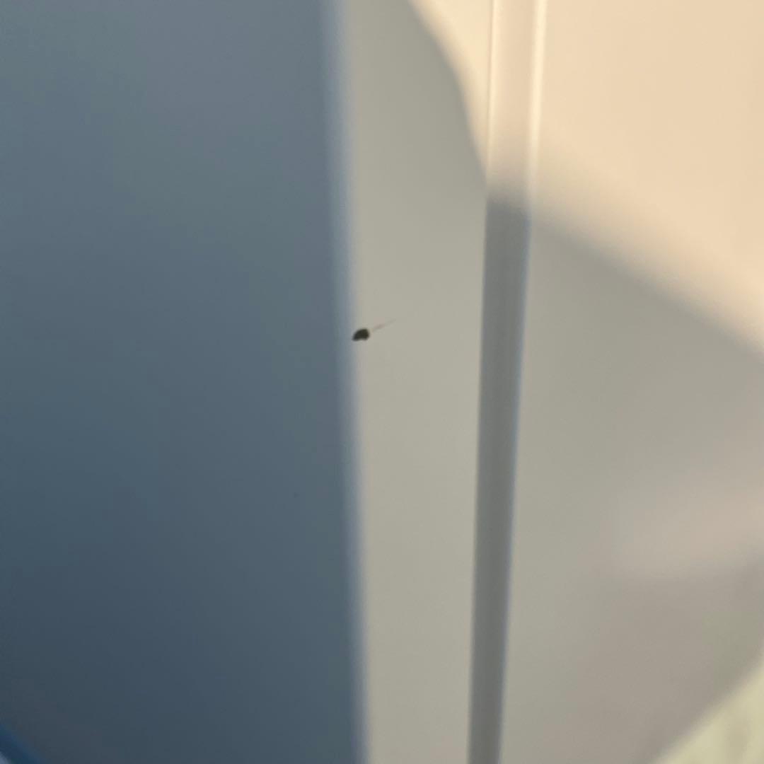 2023年製 SHARP シャープ 冷凍冷蔵庫 SJ-D18J-W 白 ホワイト