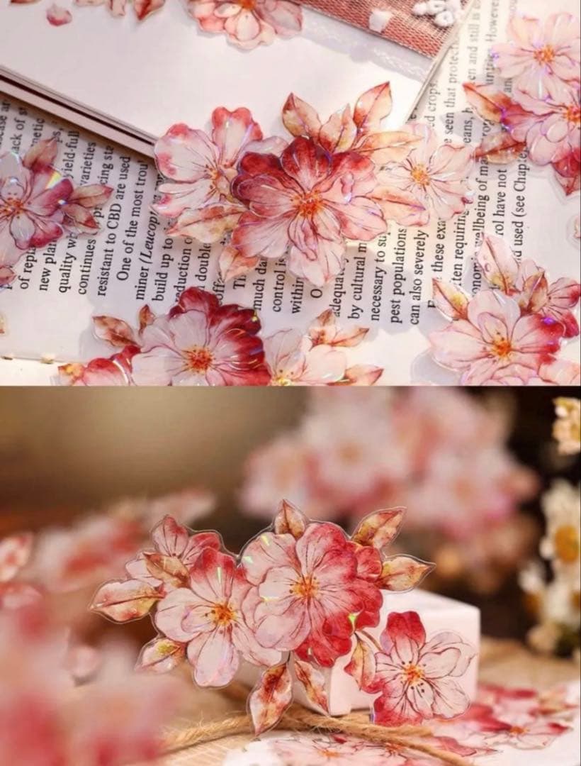 贝壳光 赤想思 5.5cm×6m 海外マスキングテープ海外マステ　花