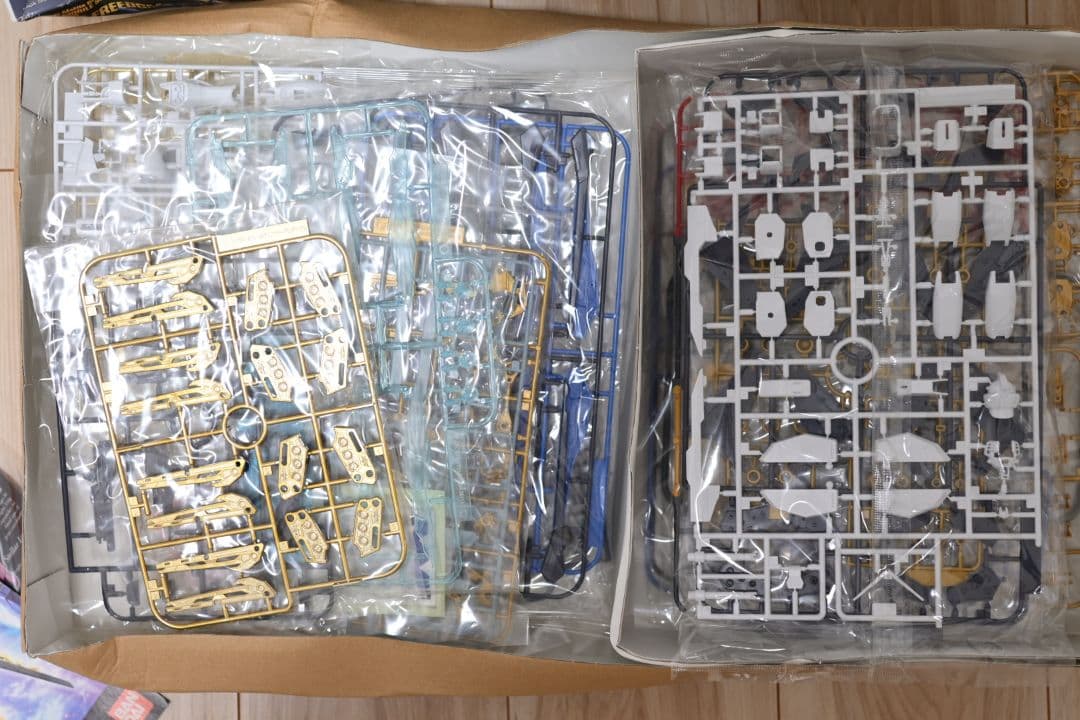 未組立/箱傷み MG ストライクフリーダムガンダム フルバーストモード