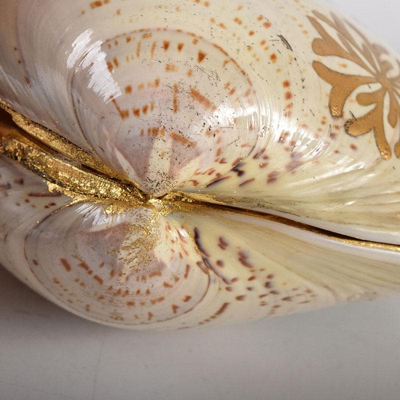 茶道具　中村湖舟作　淡々斎好　海松蒔絵　蛤香合　共布共箱　V　7927