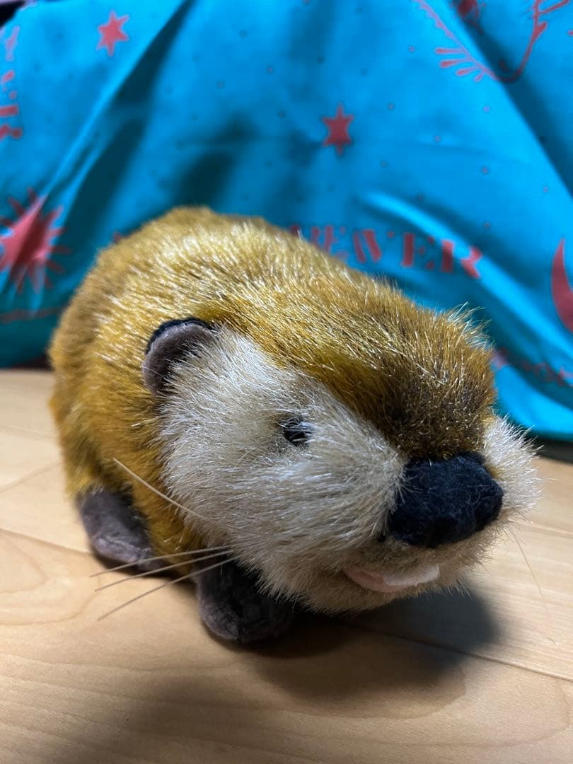 タグ付き【SUPER BEAVER】ビーバーちゃん