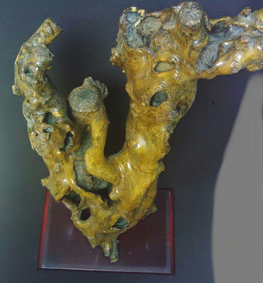 天然木 オブジェ 流木アート 大型 飾り台 置物 花台 店舗 高さ約79cm