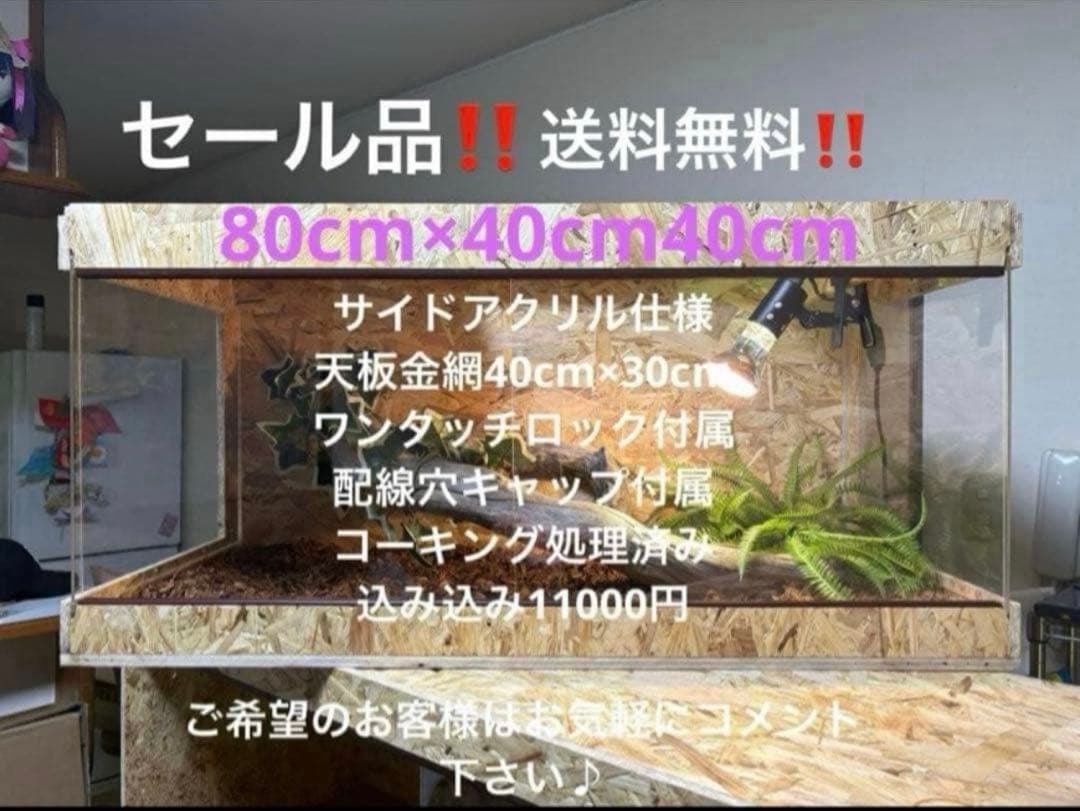 はいさい　804040お急ぎセール品 はいさい 804040お急ぎセール品 お客様大感謝セール開催！ | JA南彩