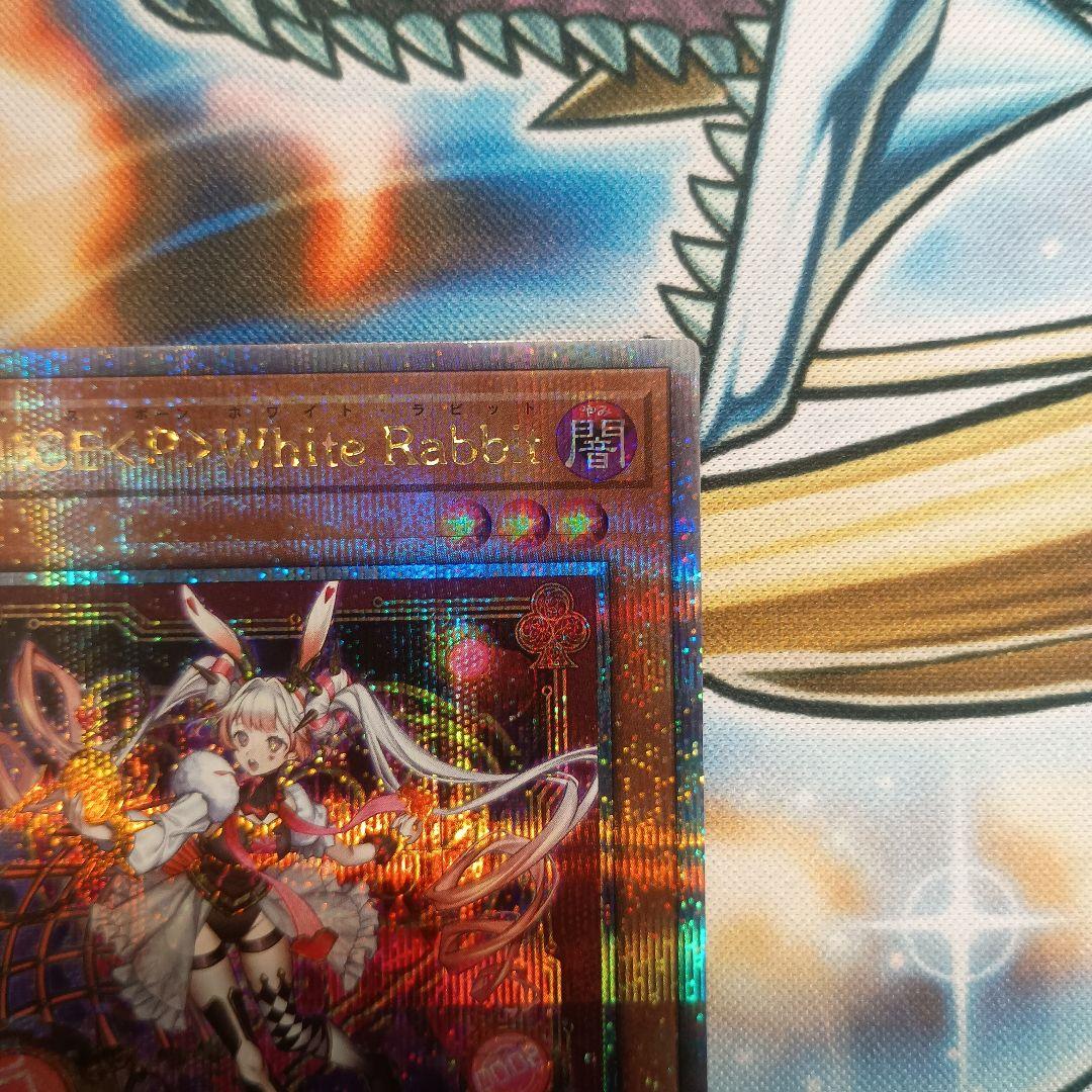 マリス 25th　M∀LICE<P>White Rabbit 25th