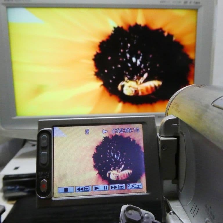 動作品ソニー DCR-PC350 MiniDVビデオカメラ　DVDダビングに最適