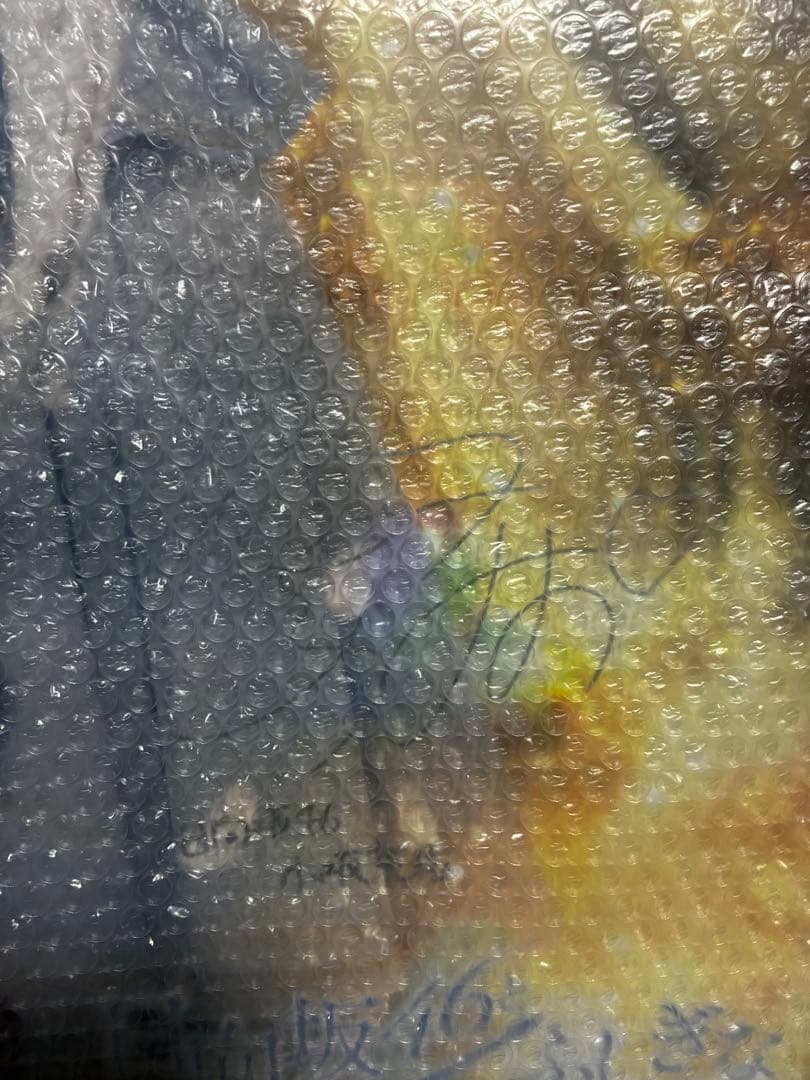 新品・未開封　日向坂46 小坂菜緒　直筆サイン入りポスター