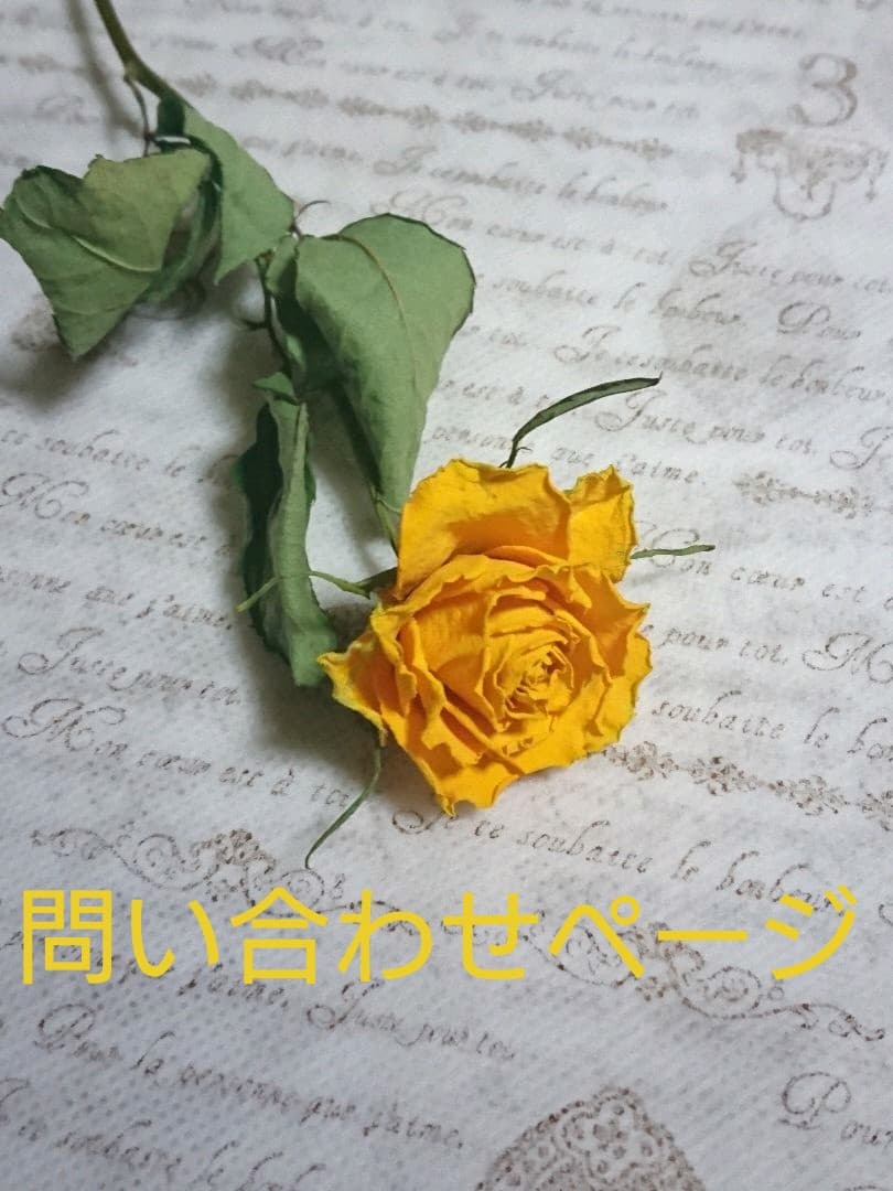 配送 問い合わせページ(メルカリshop専用) 問い合わせページ(メルカリ