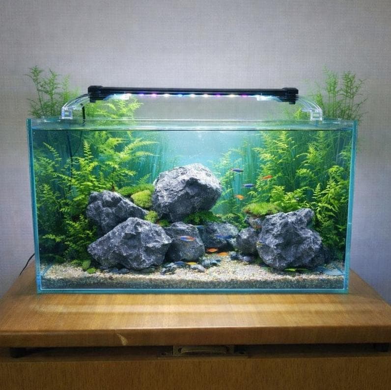 水槽セット 23L エアーポンプ フィルター 人口水草 餌 カルキ中和剤等