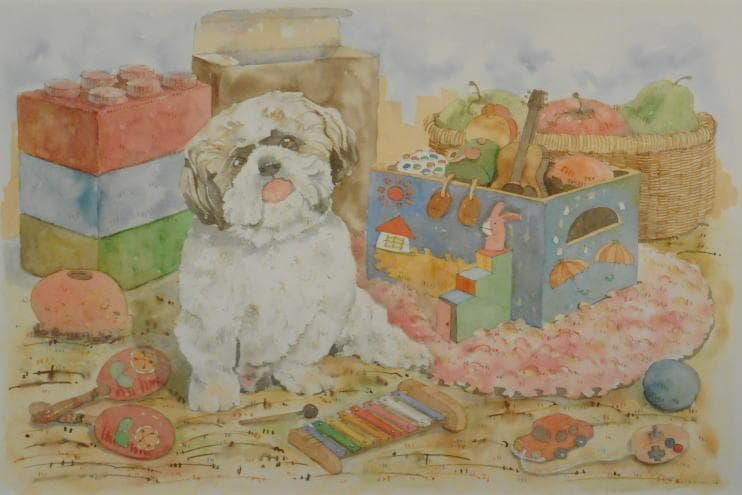 新海智也　 　いっしょに遊ぼ シーズーうよ