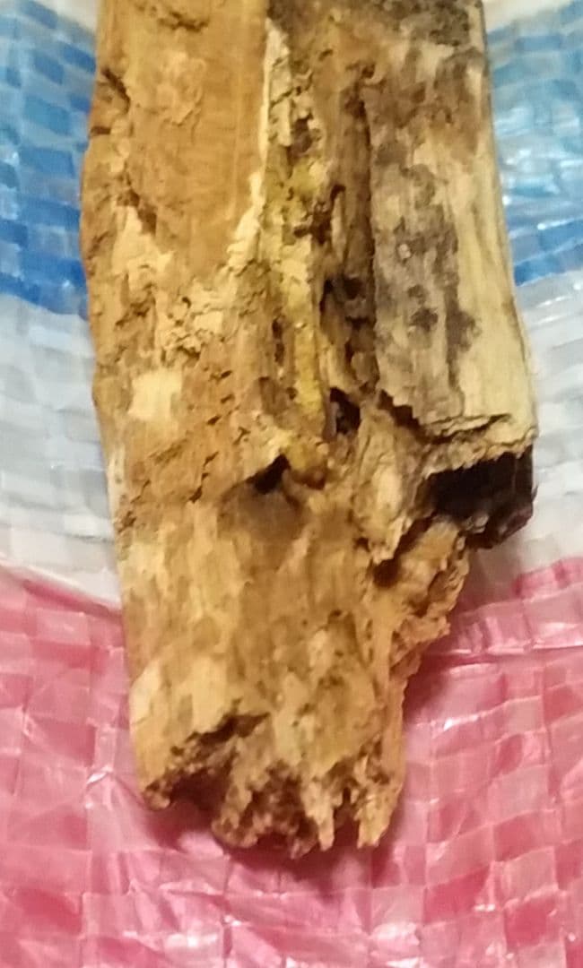 骨董品 天然 香木 伽羅原木 沈香 フィリピン - メルカリ