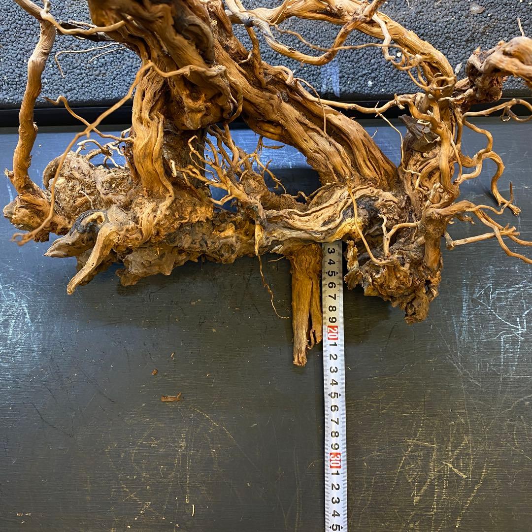 MTW-6356 蔦流木1点物 90cm水槽用流木 アクアリウム