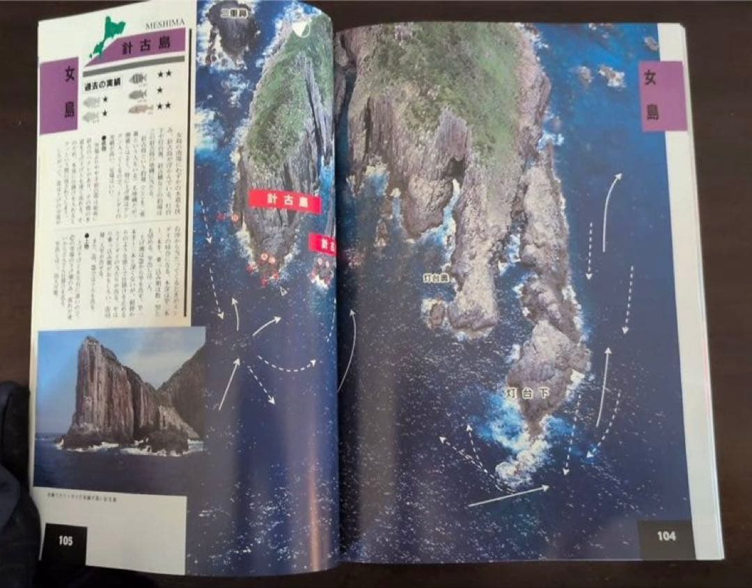 ［新品・未使用］ ザ・男女群島　完全活用マニュアル　ライトハウス出版