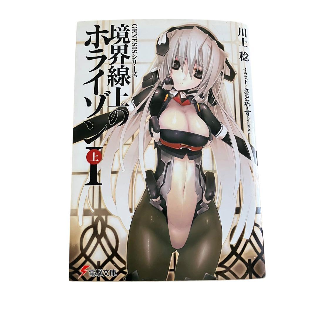 境界線上のホライゾン 全29巻+ガールズトーク3巻　全32巻　全巻セット