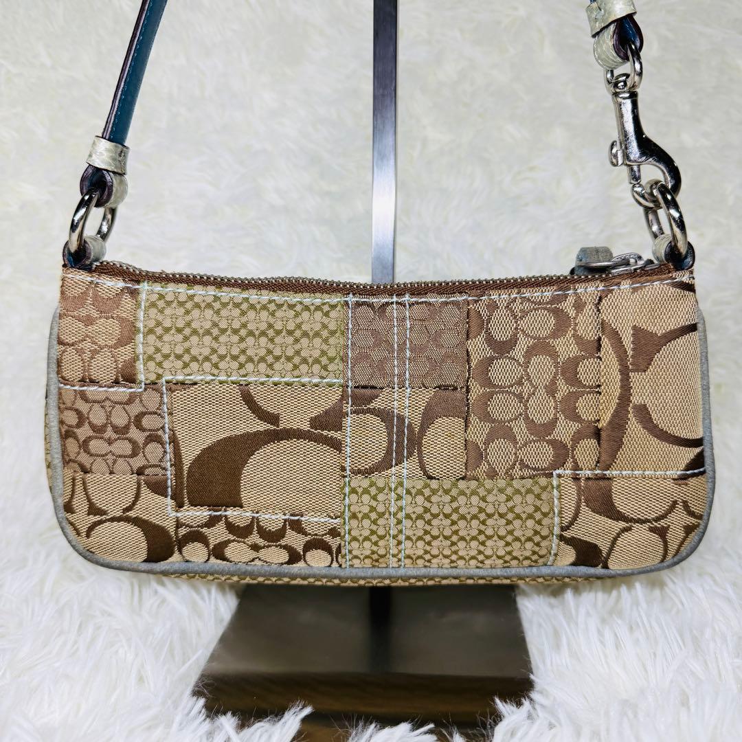 希少 COACH コーチ アクセサリーポーチ エキゾチック ハンドバッグ