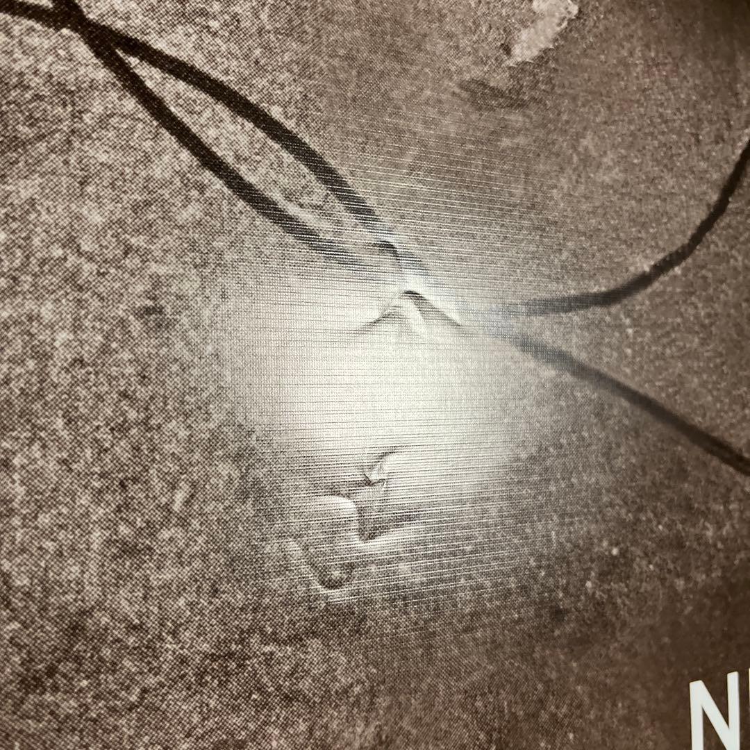 超レア NIRVANA ポスター