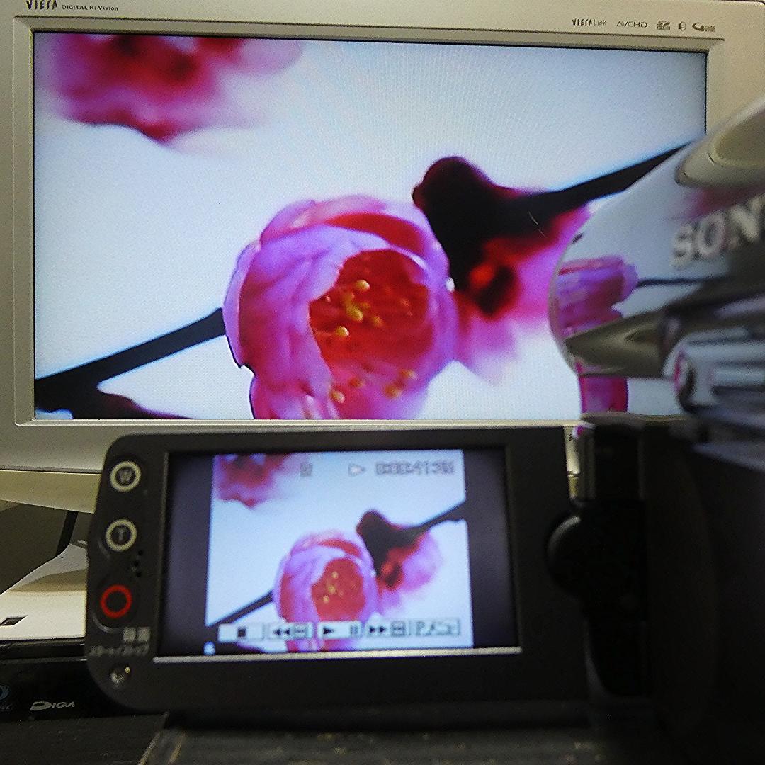 動作品 ソニー DCR-HC90 MiniDVビデオカメラ　DVD化に最適