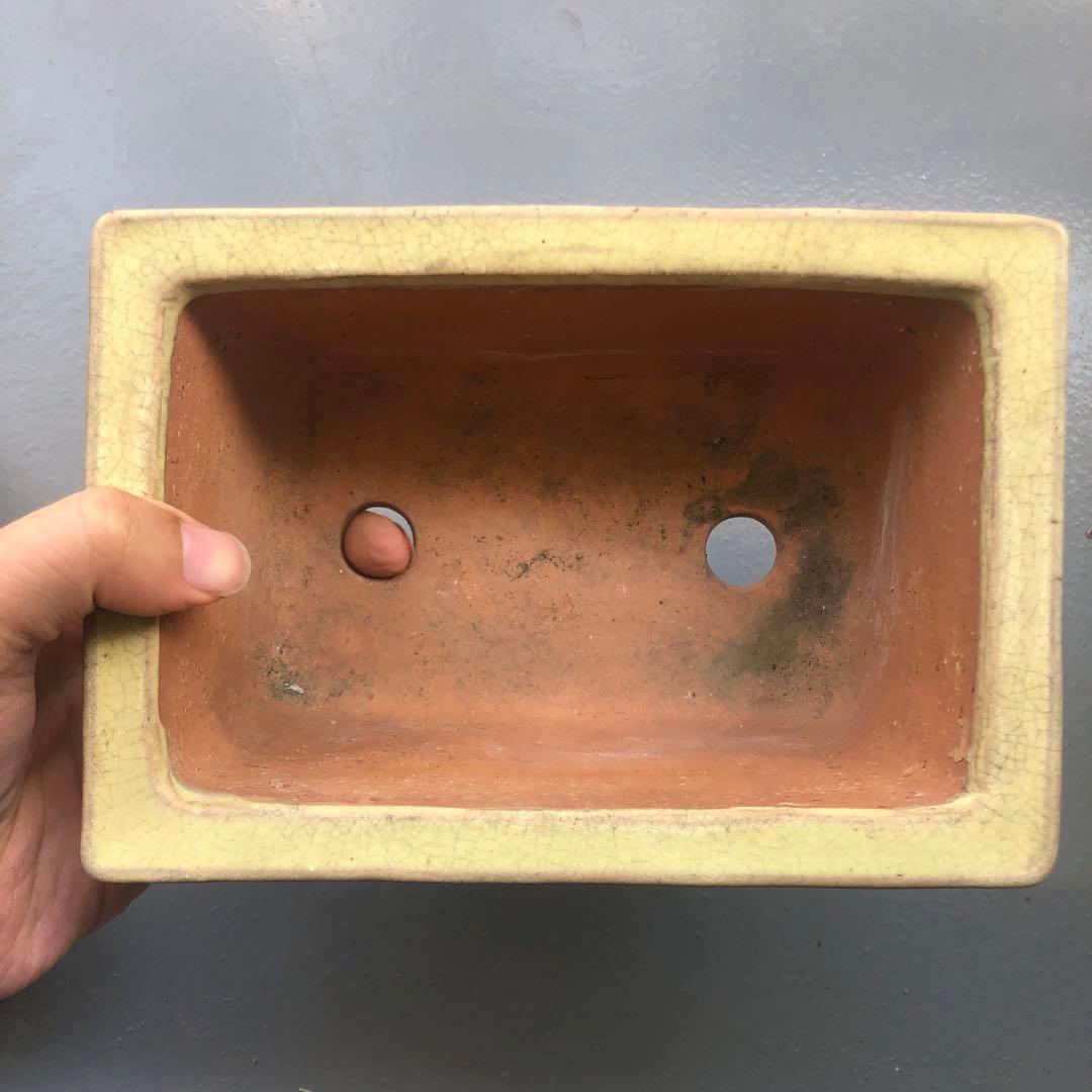 170.周寶山 黄釉雲足長方鉢 盆栽鉢 植木鉢 18*12.5*7.5cm
